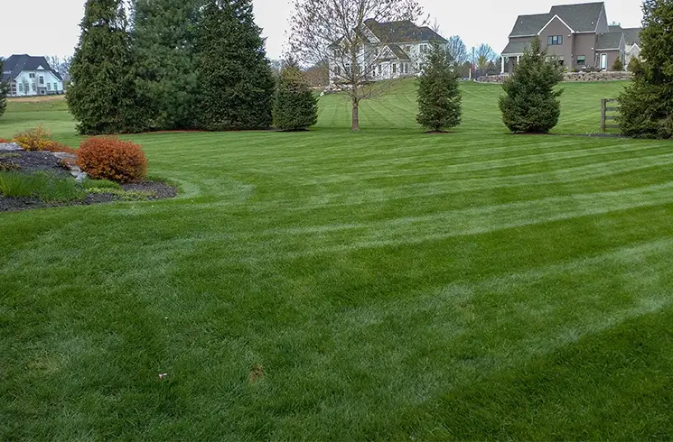 grass mowing collinsville illinois