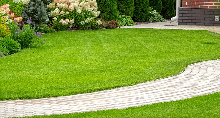 lawn service collinsville il