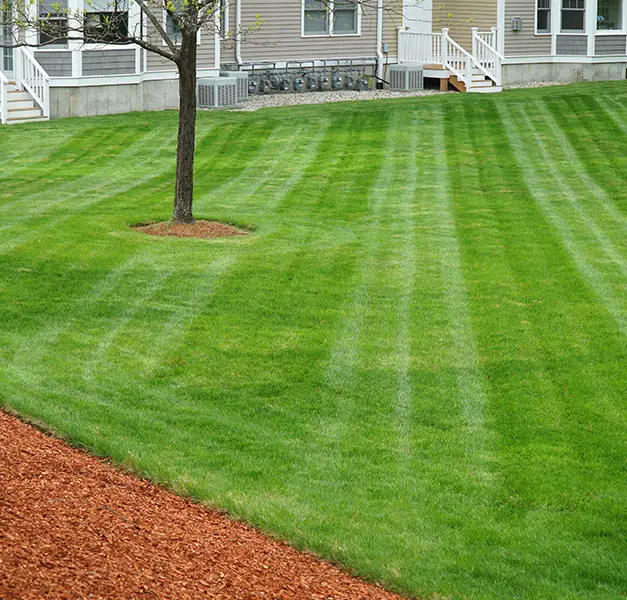 lawn mowing services collinsville illinois