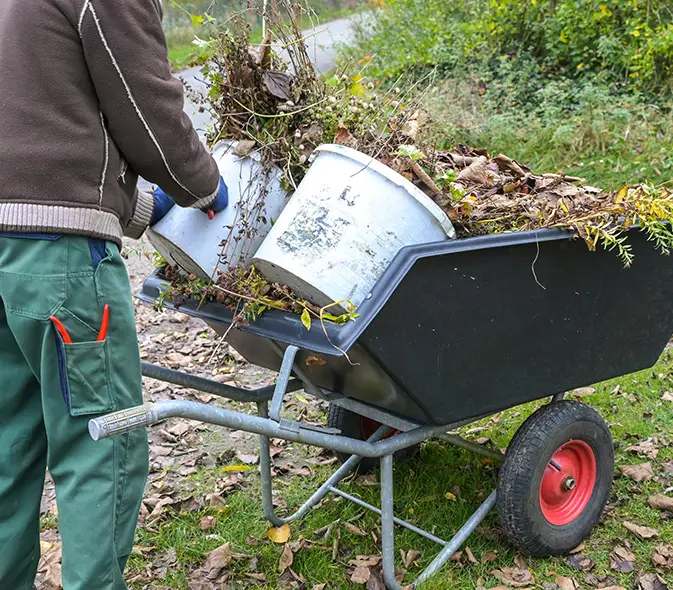 yard cleanup trimming collinsville il