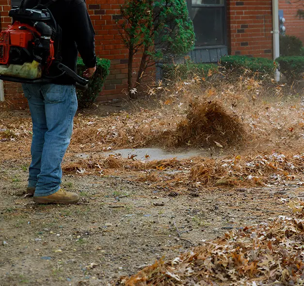 yard cleanup services collinsville illinois
