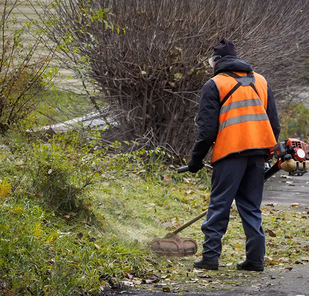 seasonal yard cleanup collinsville illinois