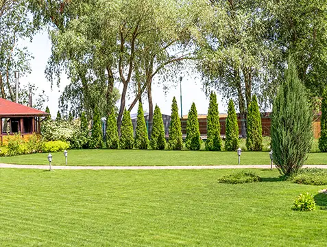 lawn mowing collinsville illinois