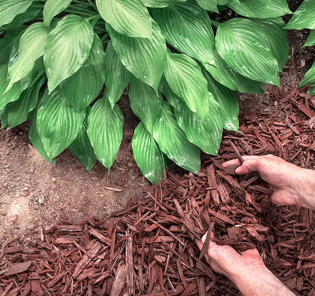 mulch landscaping collinsville il