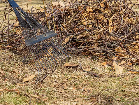 spring and fall yard cleanups collinsville illinois