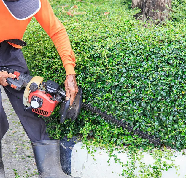 bush trimming collinsville illinois