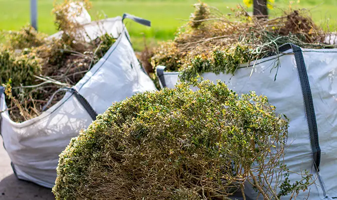 brush clearing collinsville illinois