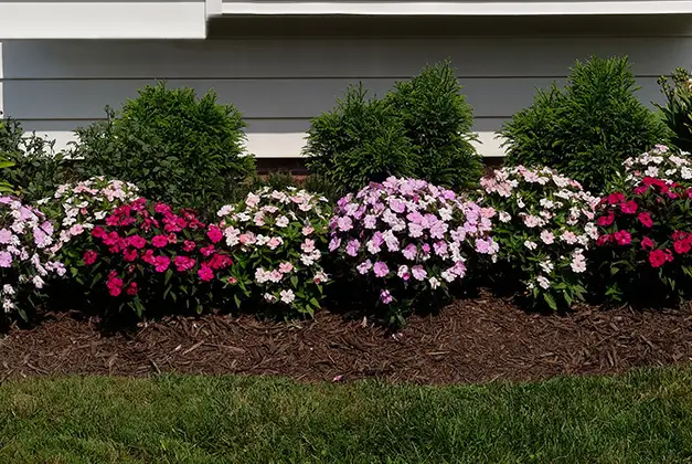 home gardening services collinsville illinois