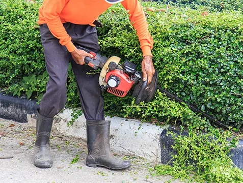 gardening services collinsville illinois