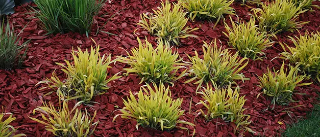 gardening maryville IL