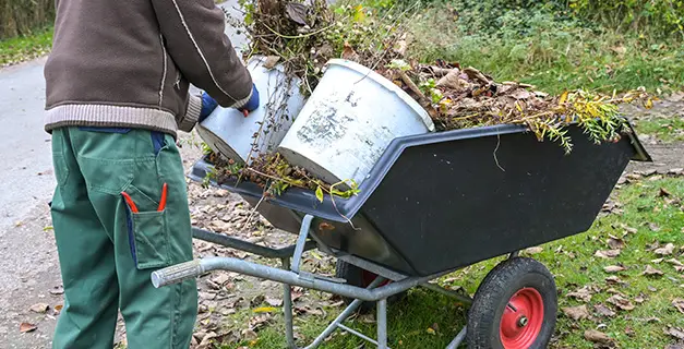 seasonal yard clean up maryville il