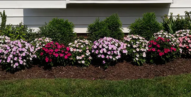 gardening service maryville il