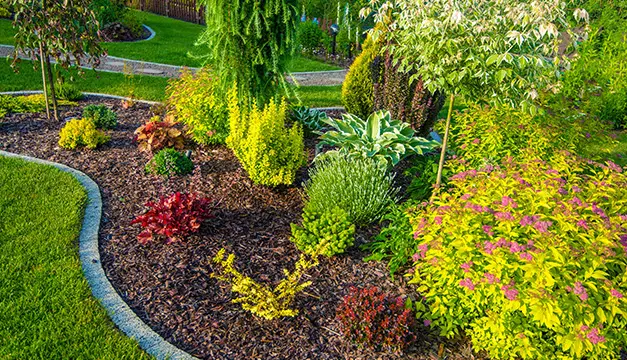 landscaping maryville il
