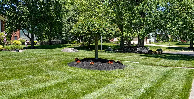 lawn mowing maryville il