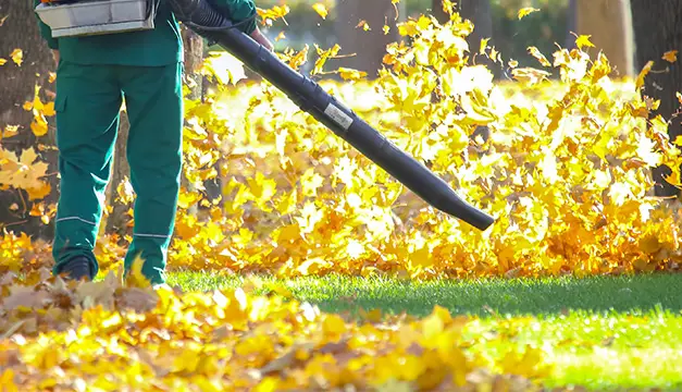 leaf removal maryville il