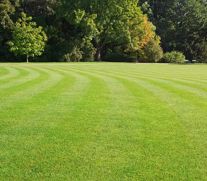 lawn service company troy illinois