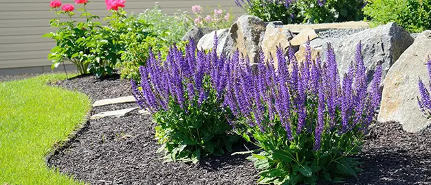 lawn service and gardening maryville IL