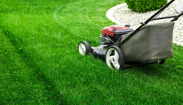 lawn care services troy illinois