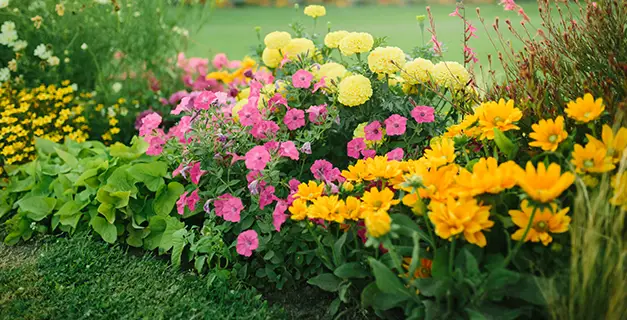 gardening and lawn service maryville il