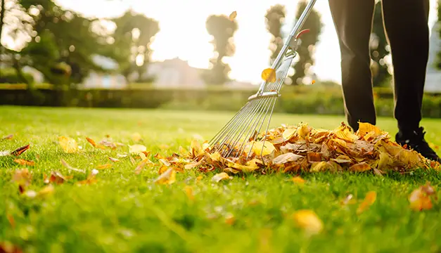 leaf removal troy il